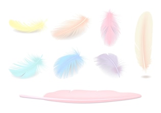 Feather clip arts