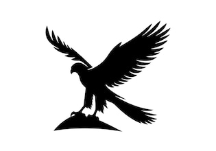 bald eagle silhouettes