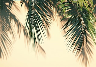 palm tree backgrounds
