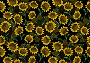 sunflower seamless patterns